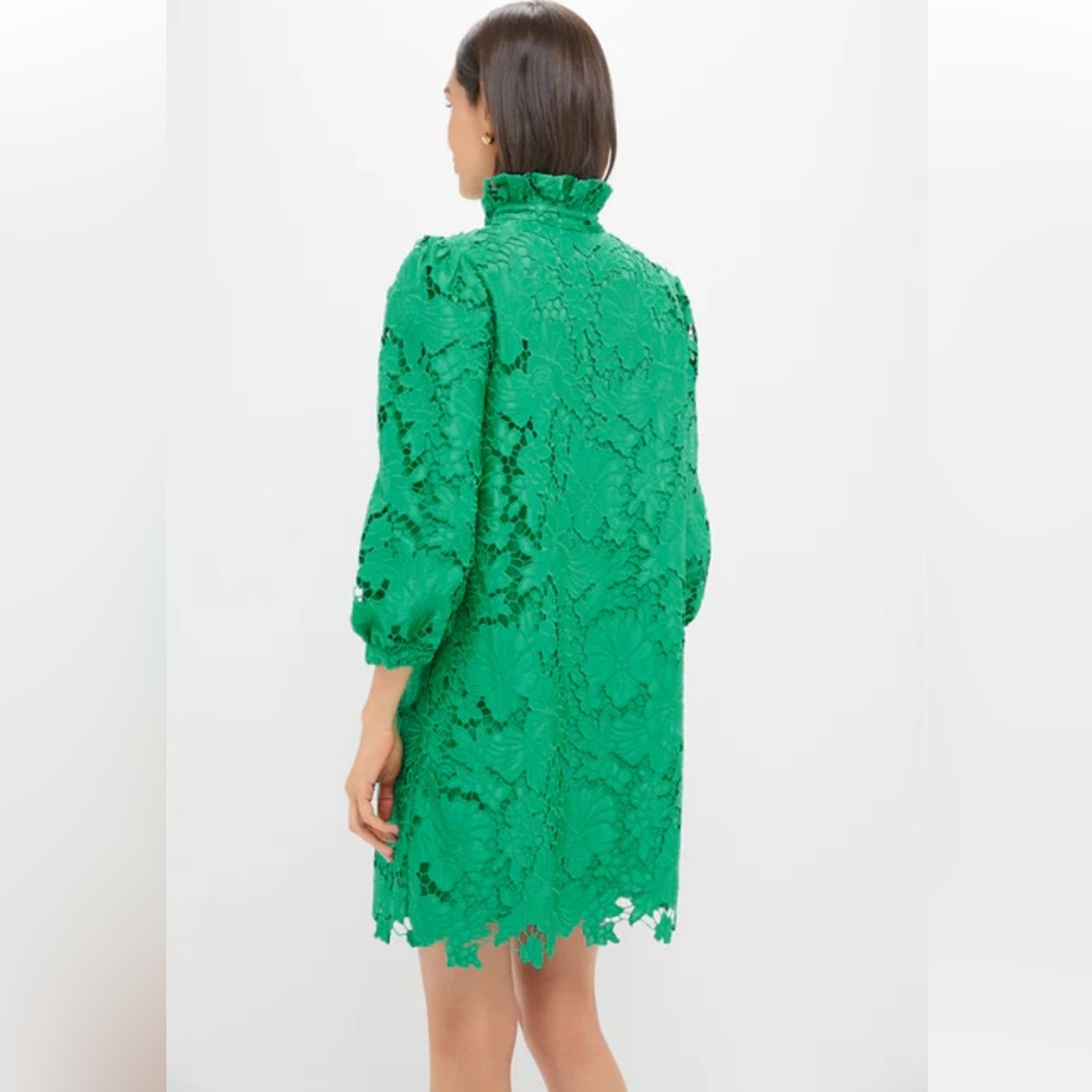XS Tuckernuck Pomander Place Green Lace Cath Mini Dress - Picture 6 of 17